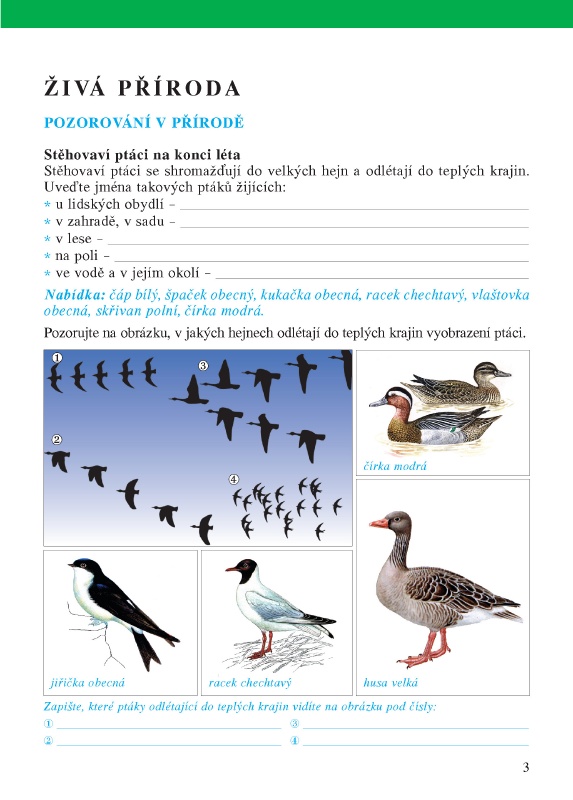Živá příroda Živá příroda