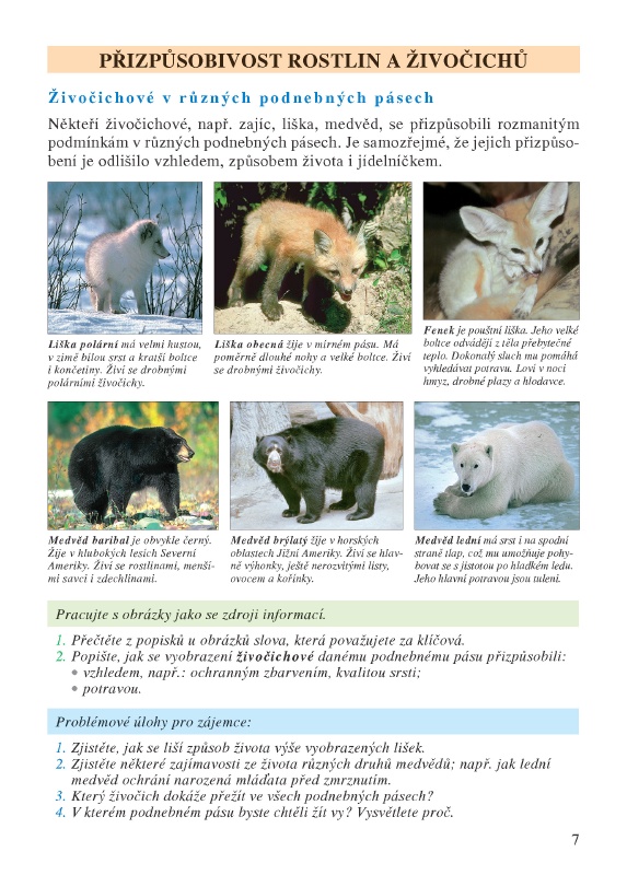 Přizpůsobivost rostlin a živočichů Živočichové v různých podnebných pásech