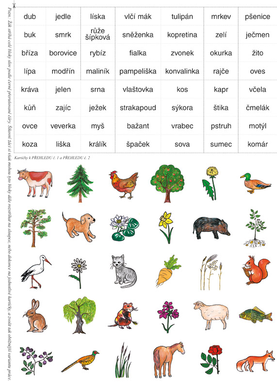 Kart.příl. k PS Svět okolo nás - 2.díl